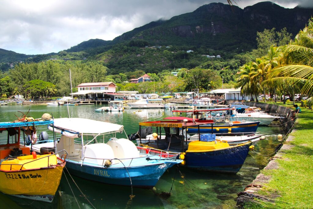 This photo shows colourful boats moored along the grassy jetty in Victoria harbour.