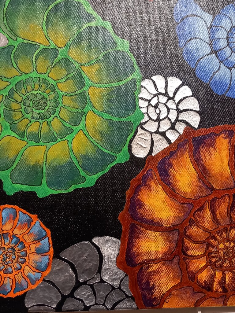 A colourful painting of ammonite fossils