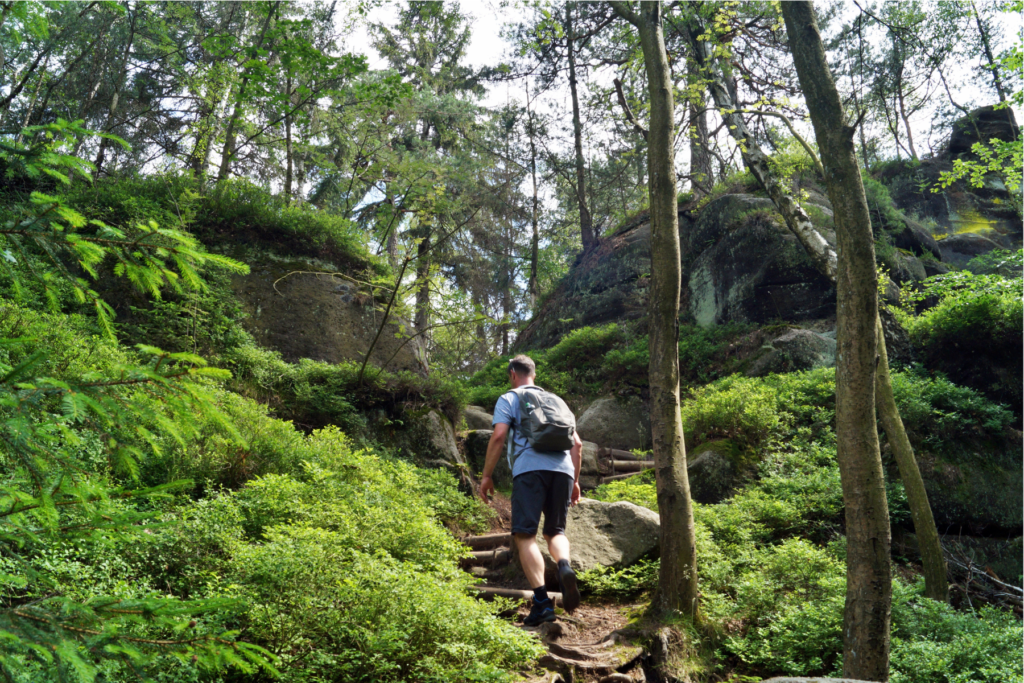 This photo shows a man walking up a path through a forest.